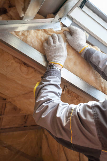 Best Wall Insulation Installation  in North Chicago, IL