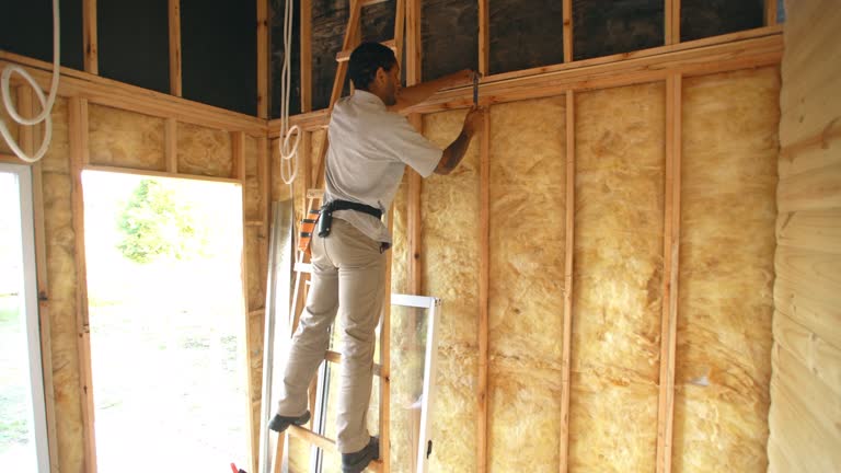 Best Insulation for Existing Homes  in North Chicago, IL